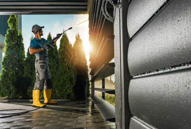 Best Soft Washing  in Springfield, MI
